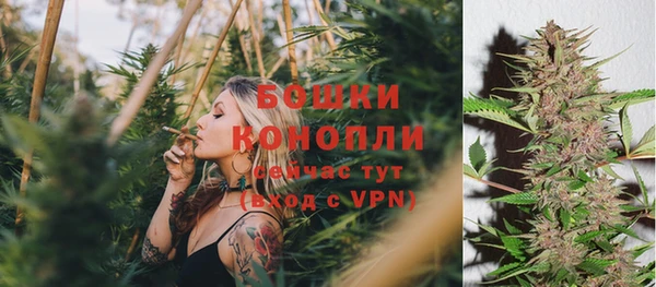 дмт Новокубанск