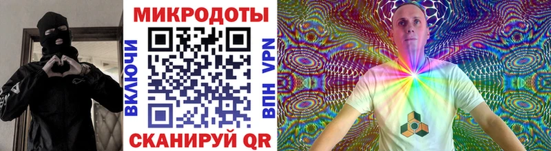 omg   Ухта  Псилоцибиновые грибы Psilocybe 